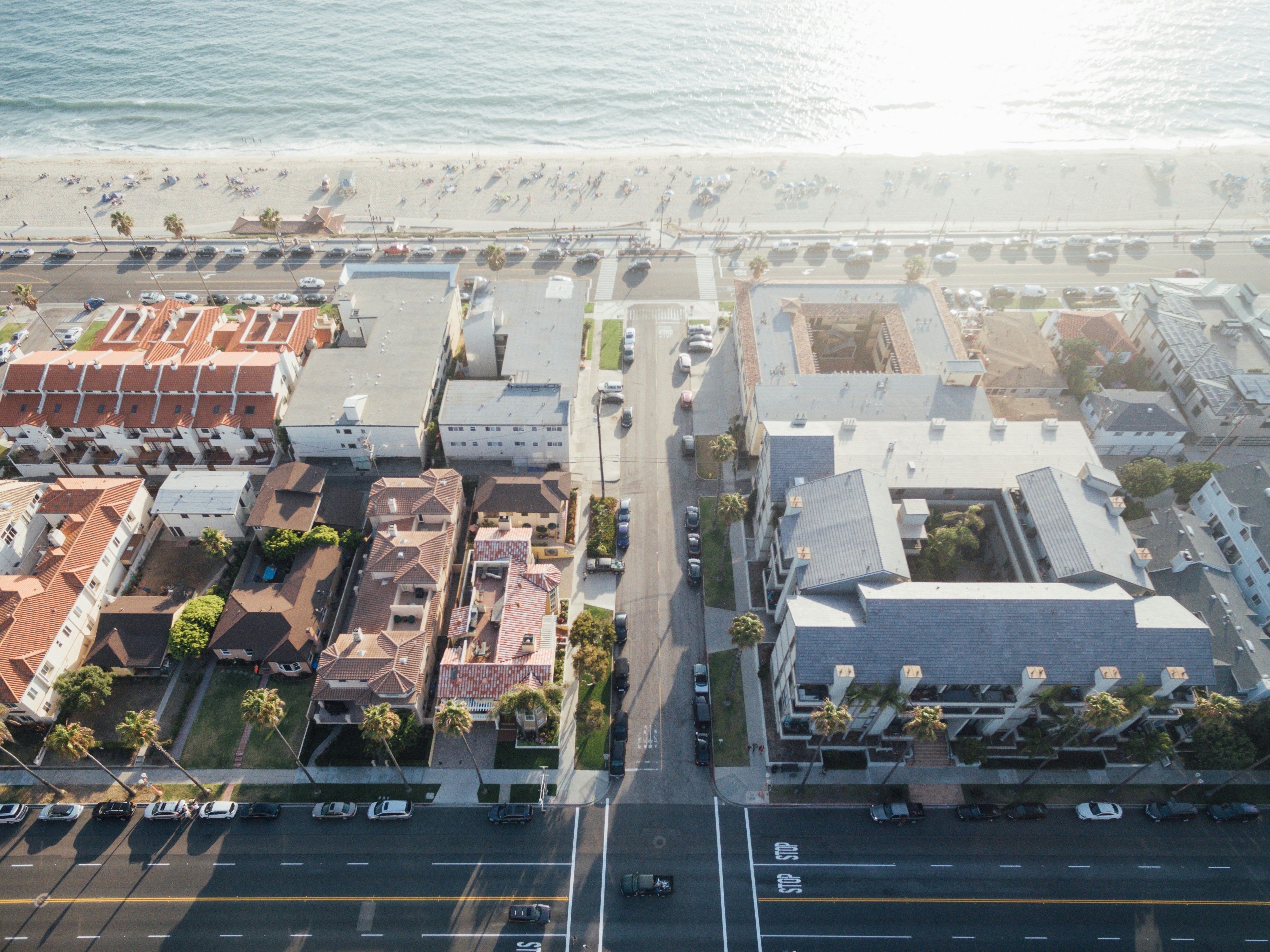 New Collection - CLAE Footwear