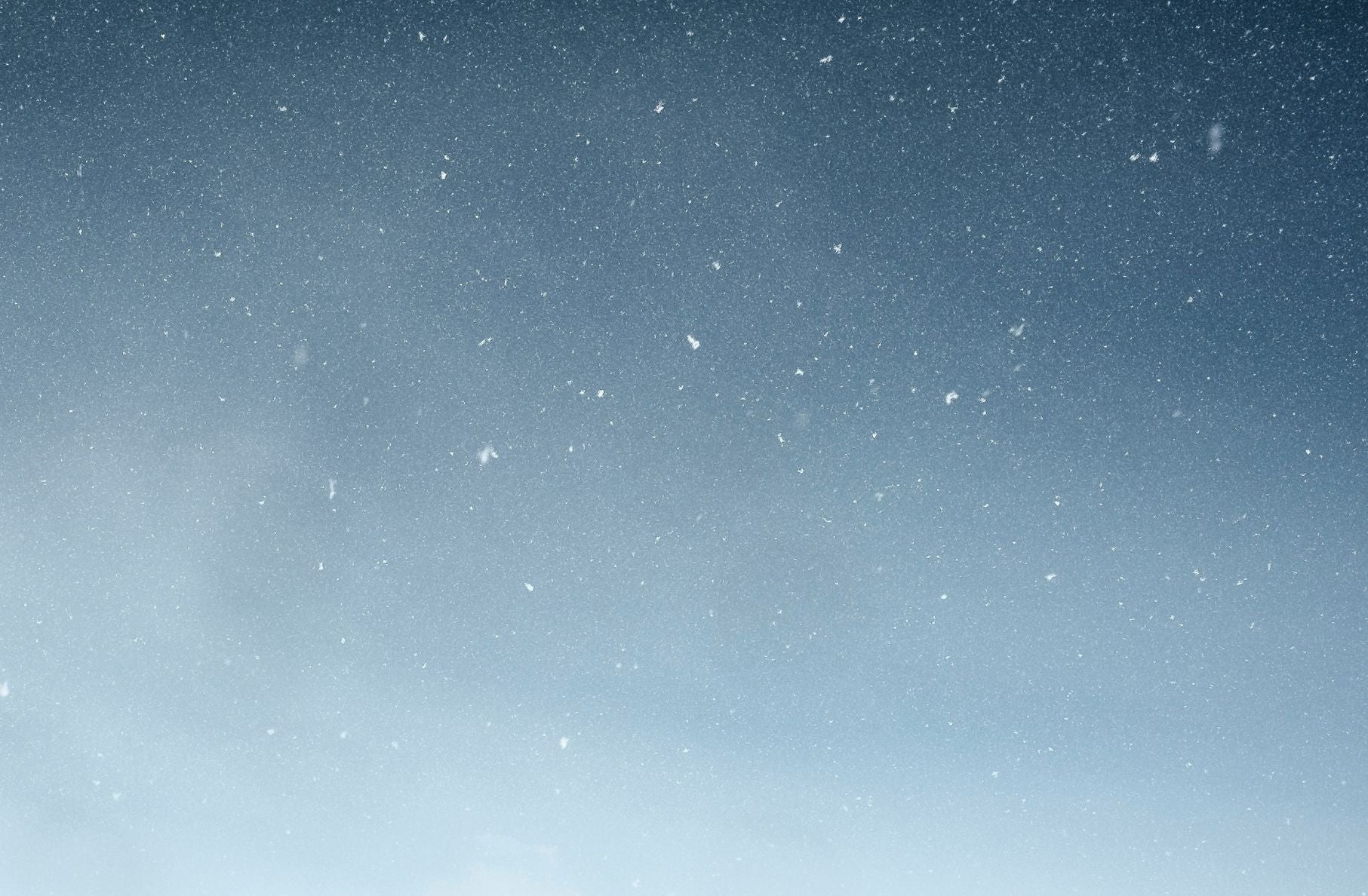 Sale - CLAE Footwear