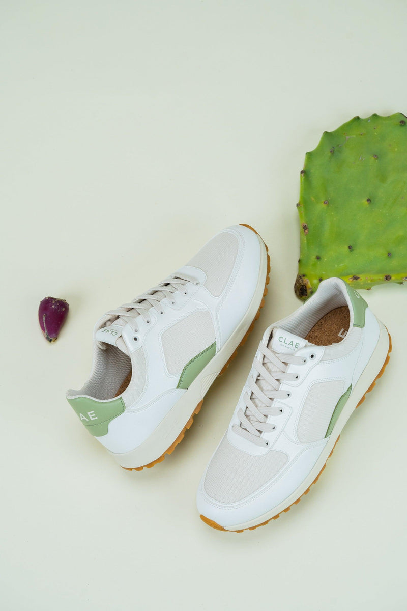JOSHUA CACTUS - CLAE Footwear