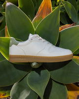 MALONE CACTUS - CLAE Footwear